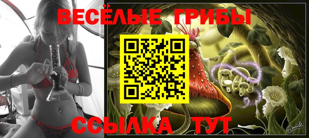 Глазов  Галлюциногенные грибы Magic Shrooms  Галлюциногенные грибы ЛСД  Вход с VPN 