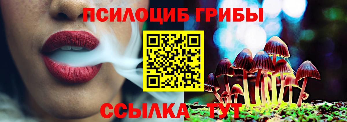 Галлюциногенные грибы Magic Shrooms Глазов